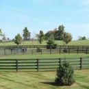 Oak Fencing Enclosure For Horses