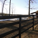 Oak Four Board Fence