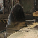 Riephoff Sawmill's 56 Inch Circular Saw
