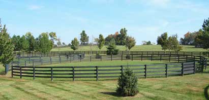 Oak Fencing Enclosure For Horses