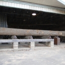 30 ft Log on the log deck
