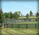 Wood fencing and posts
