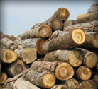 Hardwood logs and lumber