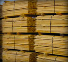 Hardwood stakes